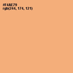 #F4AE79 - Macaroni and Cheese Color Image