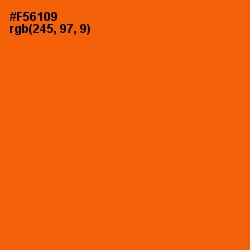 #F56109 - Blaze Orange Color Image