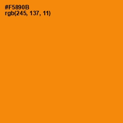 #F5890B - Tangerine Color Image