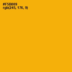 #F5B009 - Selective Yellow Color Image