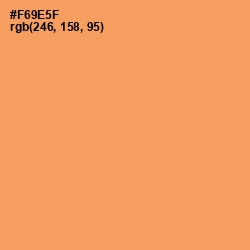 #F69E5F - Tan Hide Color Image