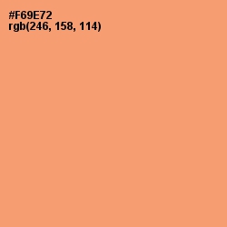 #F69E72 - Apricot Color Image