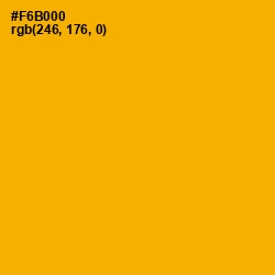 #F6B000 - Selective Yellow Color Image