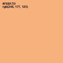 #F6B17D - Macaroni and Cheese Color Image