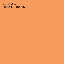 #F79C5C - Tan Hide Color Image