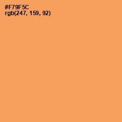 #F79F5C - Tan Hide Color Image