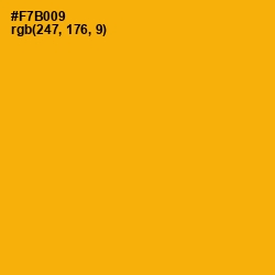 #F7B009 - Selective Yellow Color Image