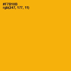 #F7B10B - Selective Yellow Color Image