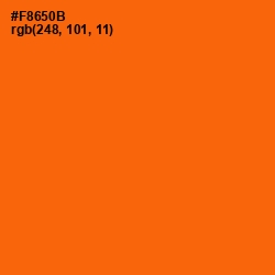 #F8650B - Blaze Orange Color Image