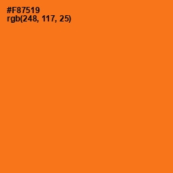 #F87519 - Pumpkin Color Image