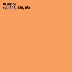 #F89F5F - Tan Hide Color Image
