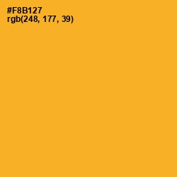 #F8B127 - Fuel Yellow Color Image