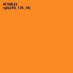 #F98B22 - Carrot Orange Color Image