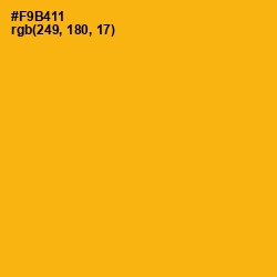 #F9B411 - My Sin Color Image