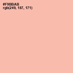 #F9BBAB - Melon Color Image