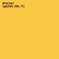 #F9C847 - Ronchi Color Image