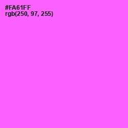 #FA61FF - Pink Flamingo Color Image