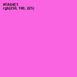 #FA64E1 - Pink Flamingo Color Image