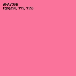 #FA739B - Deep Blush Color Image