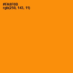 #FA8F0B - Tangerine Color Image