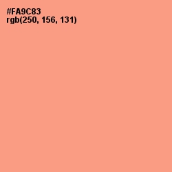 #FA9C83 - Vivid Tangerine Color Image