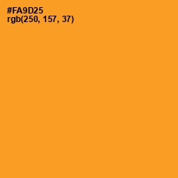 #FA9D25 - Sunshade Color Image