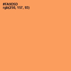 #FA9D5D - Tan Hide Color Image