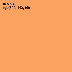 #FAA360 - Sandy brown Color Image