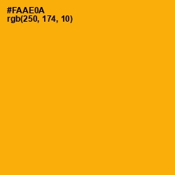 #FAAE0A - Yellow Sea Color Image
