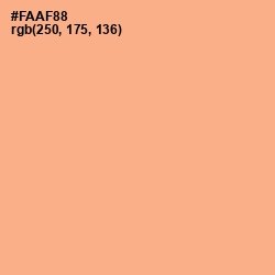 #FAAF88 - Hit Pink Color Image