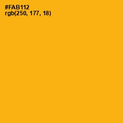 #FAB112 - My Sin Color Image