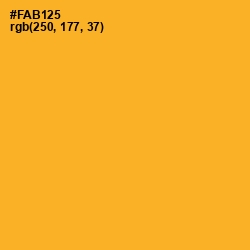 #FAB125 - Fuel Yellow Color Image