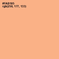 #FAB185 - Hit Pink Color Image