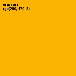 #FAB303 - Selective Yellow Color Image