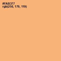 #FAB377 - Macaroni and Cheese Color Image