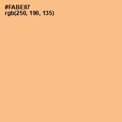 #FABE87 - Tacao Color Image