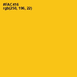 #FAC416 - Lightning Yellow Color Image