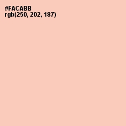 #FACABB - Apricot Peach Color Image