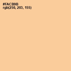 #FACB9B - Peach Orange Color Image