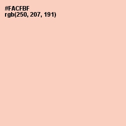 #FACFBF - Apricot Peach Color Image