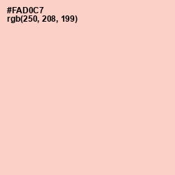 #FAD0C7 - Tuft Bush Color Image