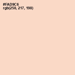 #FAD9C6 - Tuft Bush Color Image