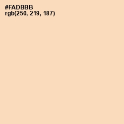 #FADBBB - Wheat Color Image