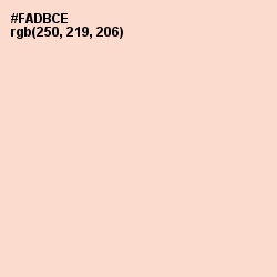 #FADBCE - Tuft Bush Color Image
