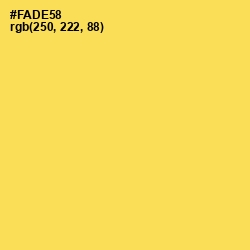 #FADE58 - Energy Yellow Color Image