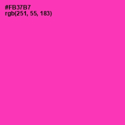 #FB37B7 - Persian Rose Color Image