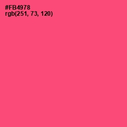 #FB4978 - Wild Watermelon Color Image