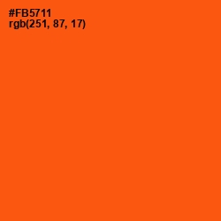 #FB5711 - International Orange Color Image