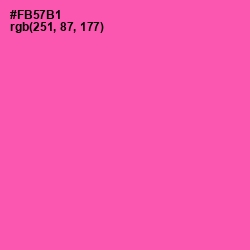 #FB57B1 - Brilliant Rose Color Image