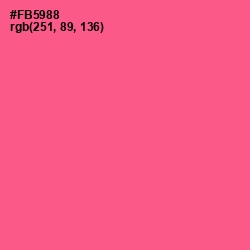 #FB5988 - French Rose Color Image
